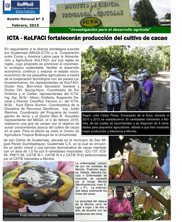 boletin ICTA febrero 2015